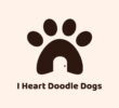 I Heart Doodle Dogs